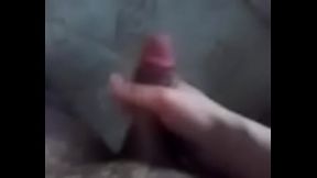 paja sin compa&ntilde_ia