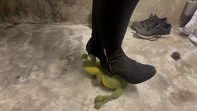 Full version – Crushing expensive stuffed toy with my feet