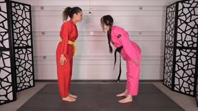 ZIVA vs FATAL