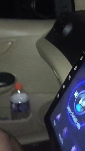 Gave Miss Mahi a Lift at Night and Fucked Her off in the Car.