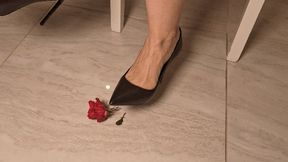 Toe tapping in high heeled shoes and crush a rose (HH)