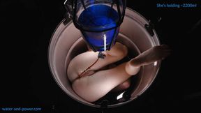 Bee In a Barrel 3 of 3 4k