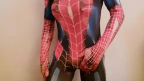 Spider D Cup tits