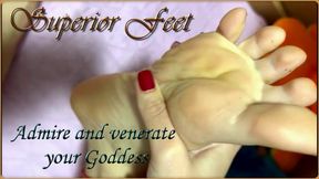 Admire and venerate your Goddess