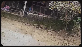 Quickie Kiss Ebony Cherry Rhodes Jessa Rhodes Blowjob