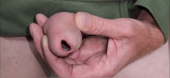 Urethral toys and gaping pee hole while urinating