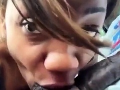 FINE NUT SWALLOWER