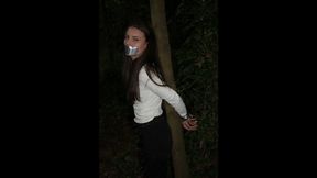 Lola Xr Taped To a Tree wmv