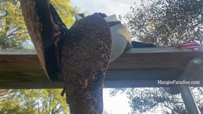 Temptress Mango plays in Sacred Dirt: Ebony Soles, Dirty Shoes, Foot Fetish, Giantess, Ignore