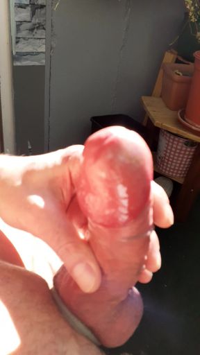 Cumshot in the sun