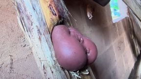 The Prisoner Find Hard Way to Sex