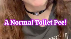 A Normal Toilet Pee