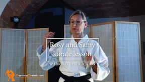 Rosy and Samy karate lesson sparring destruction