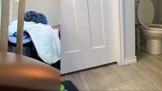 Desperate Times During a Zoom Meeting