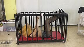 Asian Girl Caged And Box Hooded