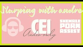 Shemale Porn Assist Slurping with Andre