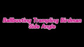 Ballbusting Trampling Birdman Side Angle