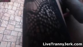 sofia gold Trans Webcam Show