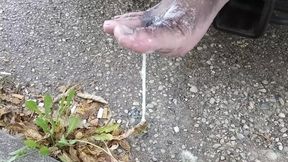 11-14-2024 Piss Feet Thursday