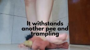It withstands another pee and trampling