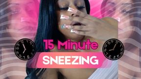 15 Minute Sneezing