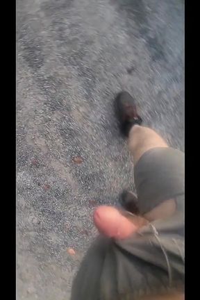 Went for a Walk at the Truck Stop