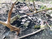 Jour 7 (VLOG) : TOURNAGE FORET