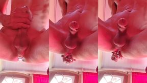 nelssil1123 - jan 20, 2024 plug anal