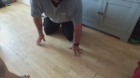 Trampling cock in my favourite mule's