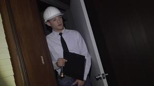 City Inspector's Wild Adventure
