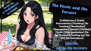 The Picnic and the Pervert - Audio Roleplay