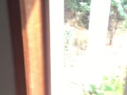 Super Risky Suck and Fuck in the Airbnb and Front Yard in WA! (Preview)