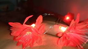 caseiro, do geito que o povo brasileiro gosta / flakael