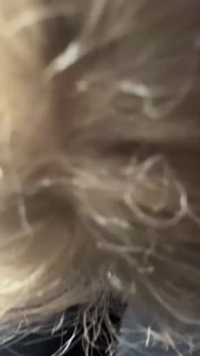 RUIN IT and EAT IT off my SOCKS SLUT!