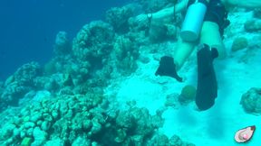 Alone Time in Bonaire