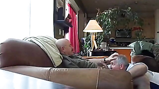 Silver Fox Servicer 3