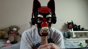 Latex Puppy Sucks His Rubber Bone