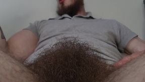 Male Hairy Pubis