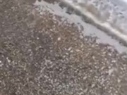 Pissing together off the highway