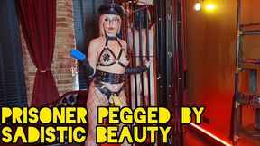 Prisoner Pegged By Sadistic Beauty - Alex WildFire, Wilder Holes