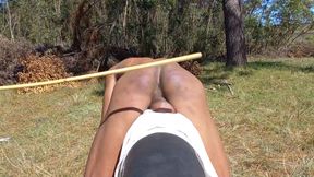 Spanking Stories 356