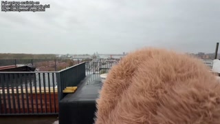 Condom breaks while she fucks with a stranger which have a big black cock !!