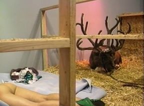 Ebony babe gets an early christmas present