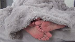 Male and female legs flirt under the blanket d