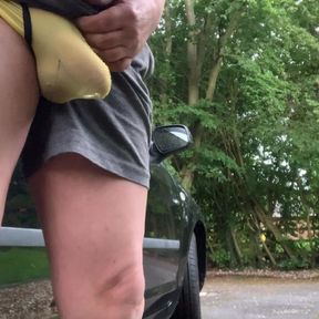 Peeing and wanking by the roadside