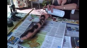 Celine Maxima the Princess and Her Crazy Desires