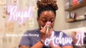 Royal Achoo 2 - Sneezing, Nose Blowing, Teeth Brushing, Spit Fetish
