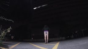 Fag CD exposing her ass in the great outdoors at night after a Blowjob and anal.
