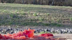 Crushing a juicy tomato ASMR