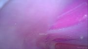 Camera in Vagina cumming, cervix throbbing, orgasm contractions, gfe raw talk, bts - Masturbate with me Ep 1 Part 4